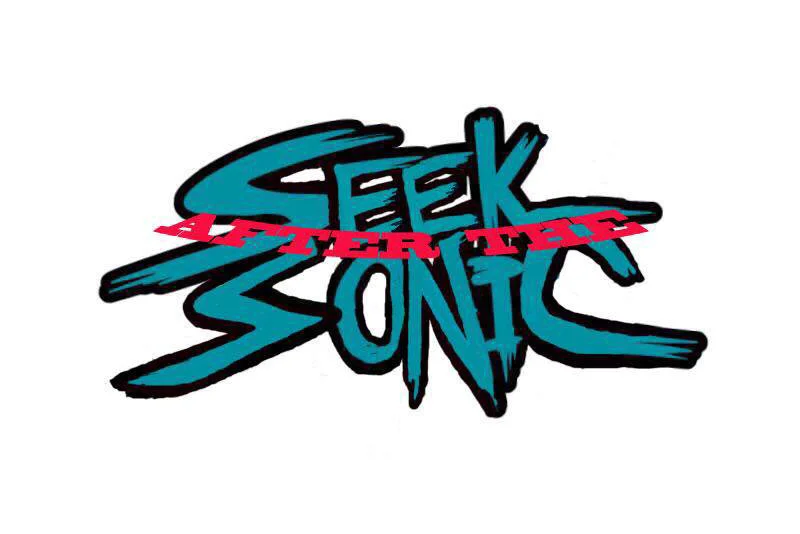 SEEK AFTER THE SONIC