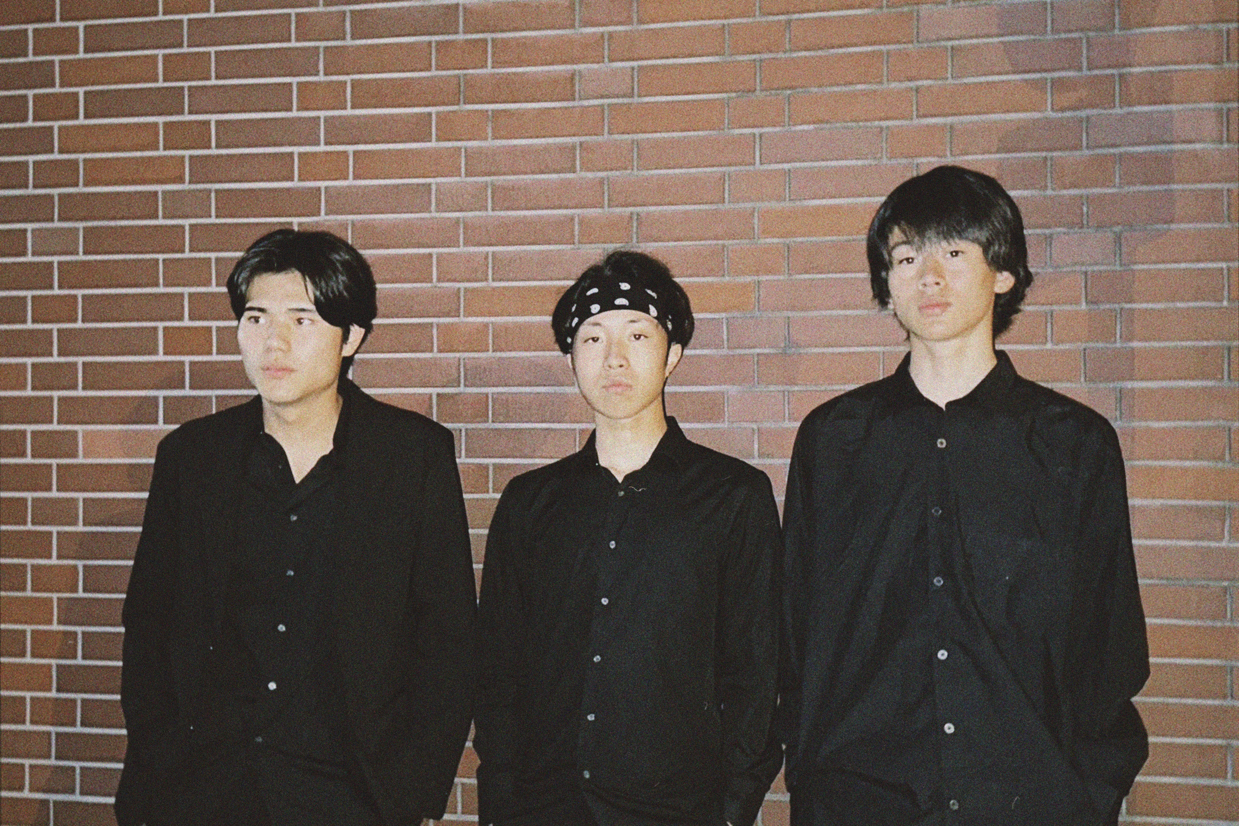 THEE ITALIAN GREY HOUND